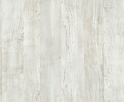 Сосна Винтерберг 547 BYSPAN РБ