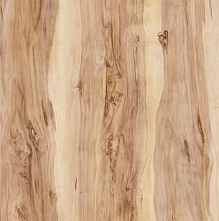 Яблоня Мадейра 155 BYSPAN РБ